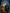 Zewdov Rechargeable Headlamp Wide Beam 500 Lumen – 230° LED - zewdov